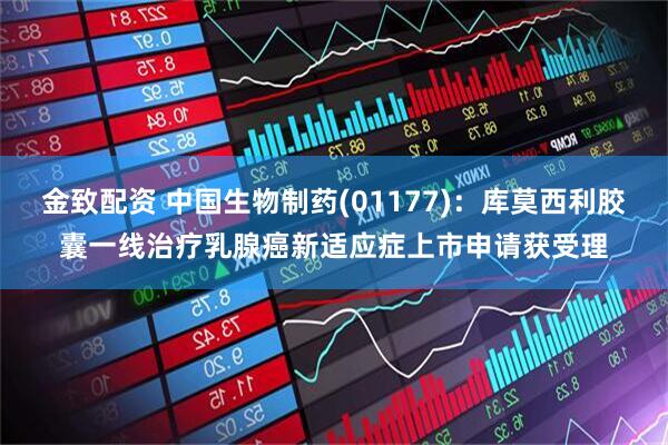 金致配资 中国生物制药(01177)：库莫西利胶囊一线治疗乳腺癌新适应症上市申请获受理