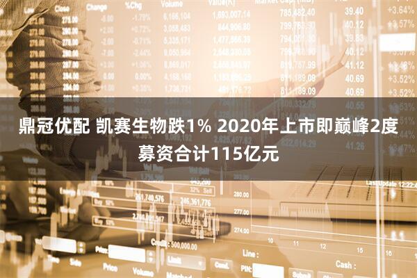 鼎冠优配 凯赛生物跌1% 2020年上市即巅峰2度募资合计115亿元