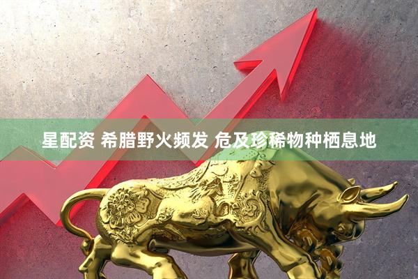 星配资 希腊野火频发 危及珍稀物种栖息地