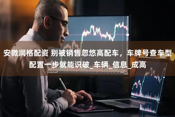 安微润格配资 别被销售忽悠高配车，车牌号查车型配置一步就能识破_车辆_信息_成高