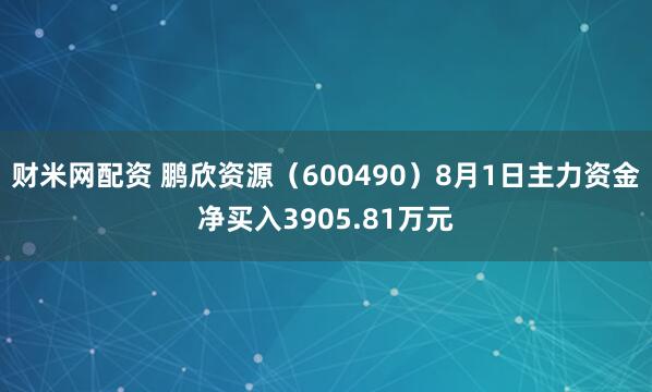 财米网配资 鹏欣资源（600490）8月1日主力资金净买入3905.81万元